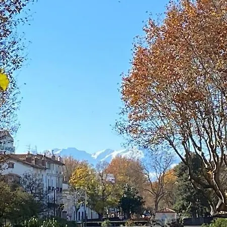 Au Pied Du Palais * Perpignano